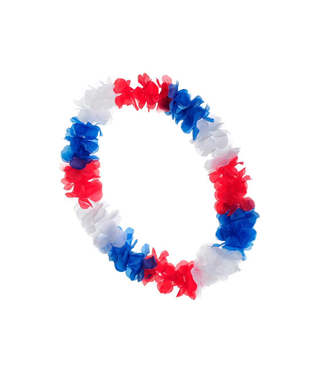 csv_image script 09146_4.jpg