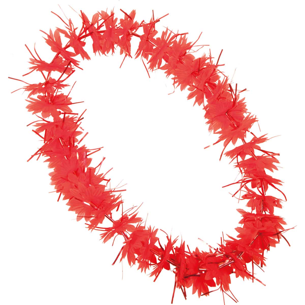 csv_image script 09167_5.jpg