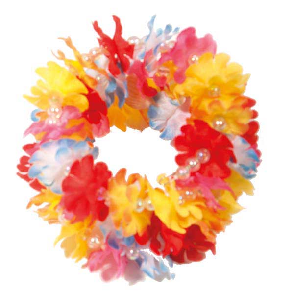 csv_image script 09173_2_4.jpg