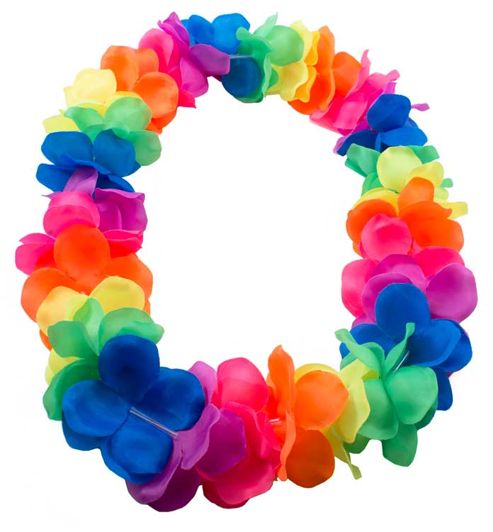 csv_image script 09181_4.jpg