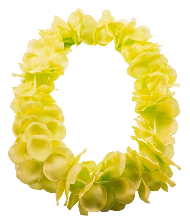 csv_image script 09185_4.jpg