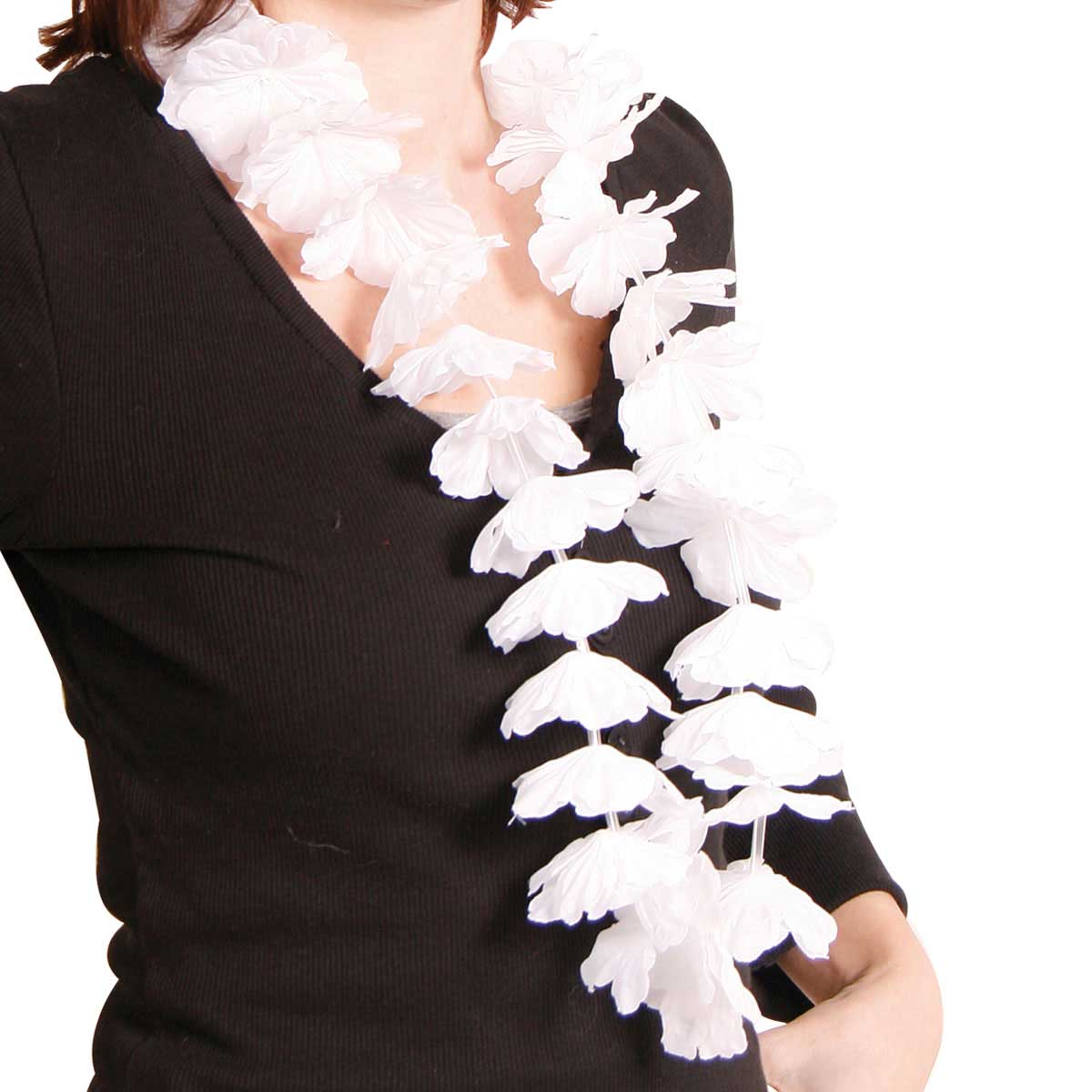 csv_image script 09868_4.jpg