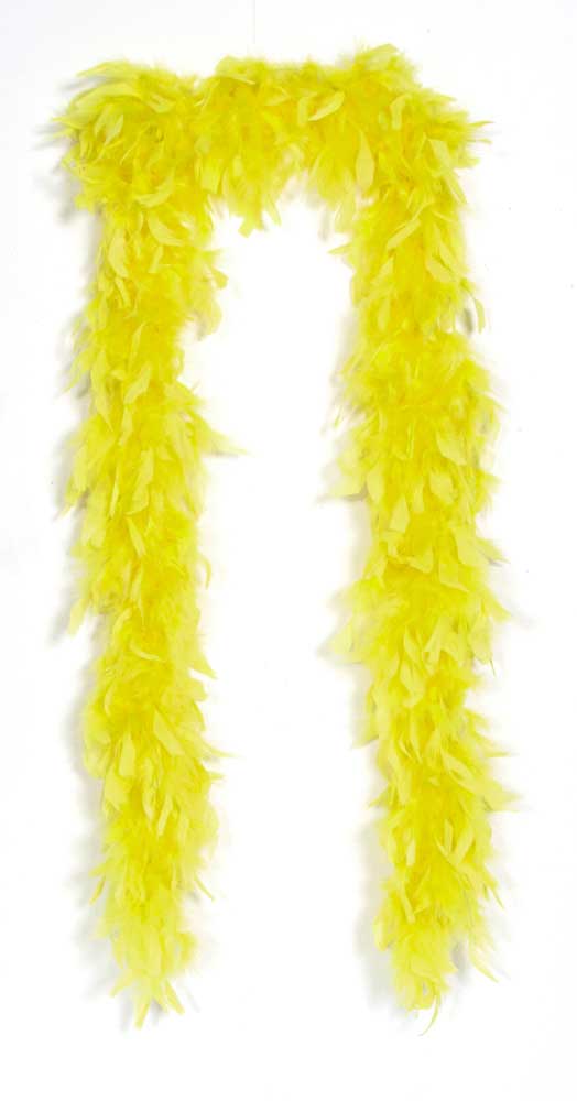 csv_image script 20580_4.jpg