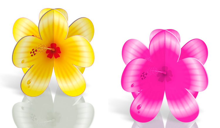 csv_image script 20702_4.jpg