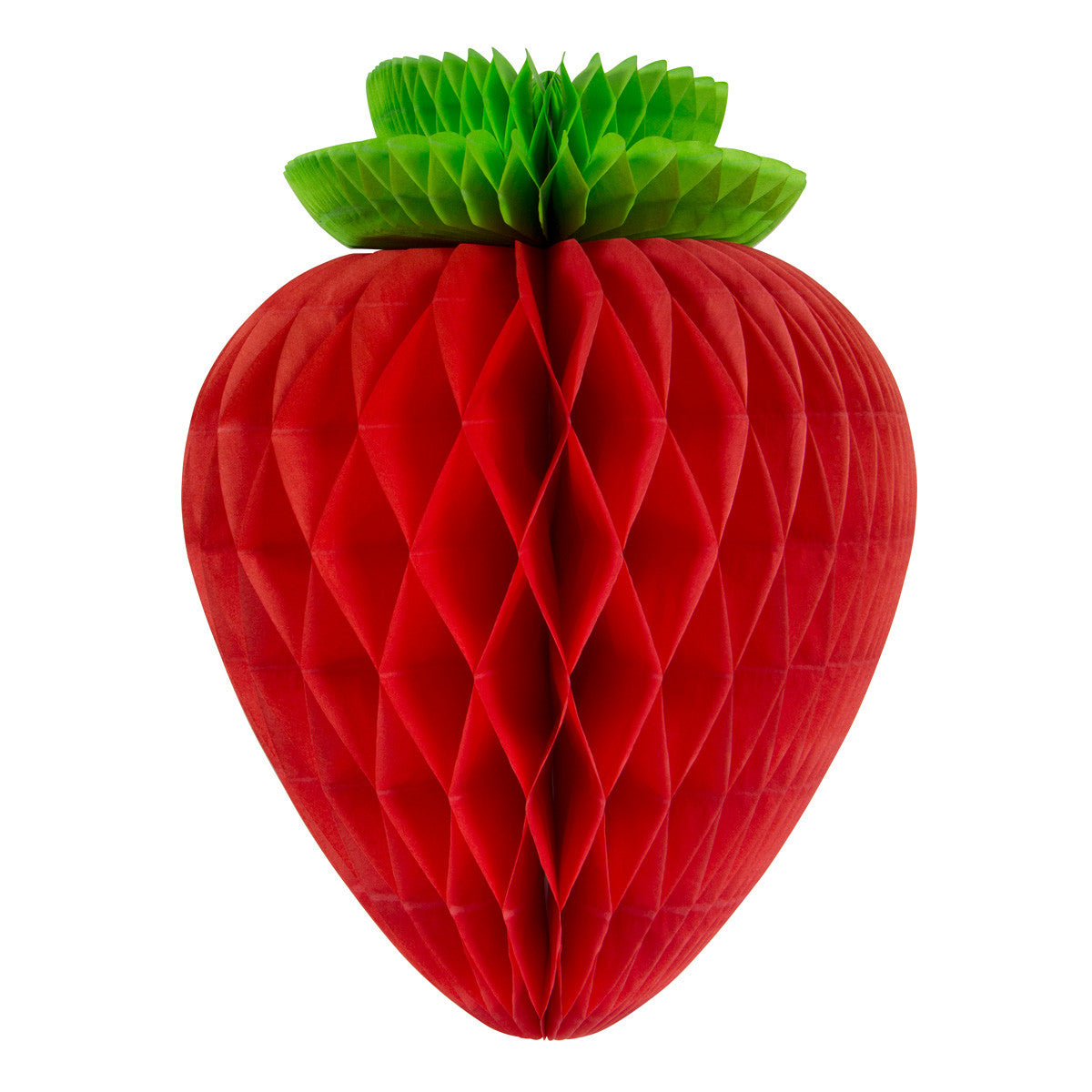 csv_image script 20705_4.jpg