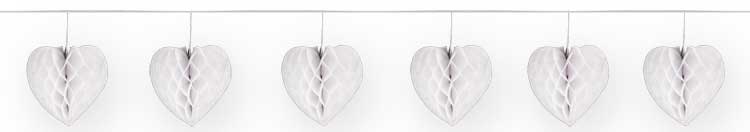 csv_image script 21351_4.jpg