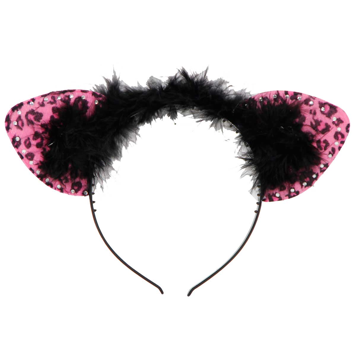 csv_image script 21670_4.jpg