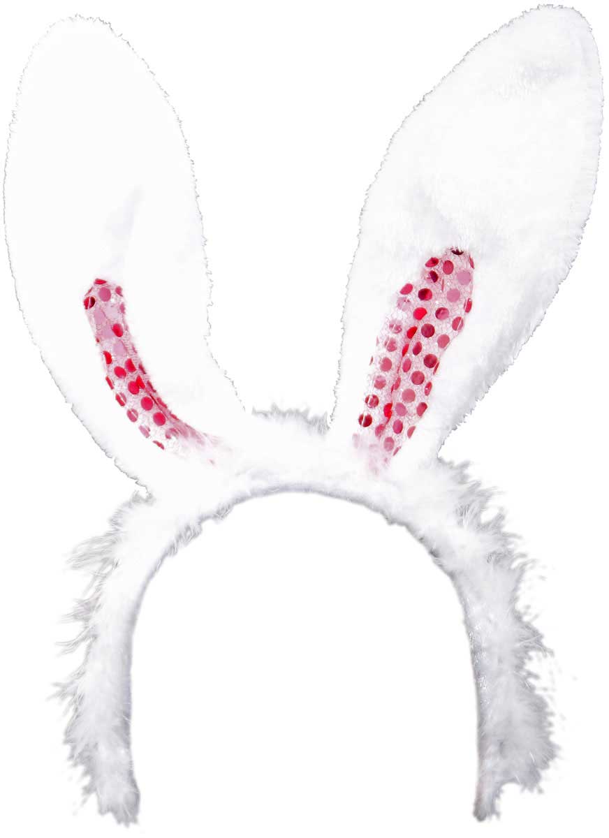 csv_image script 21672_4.jpg