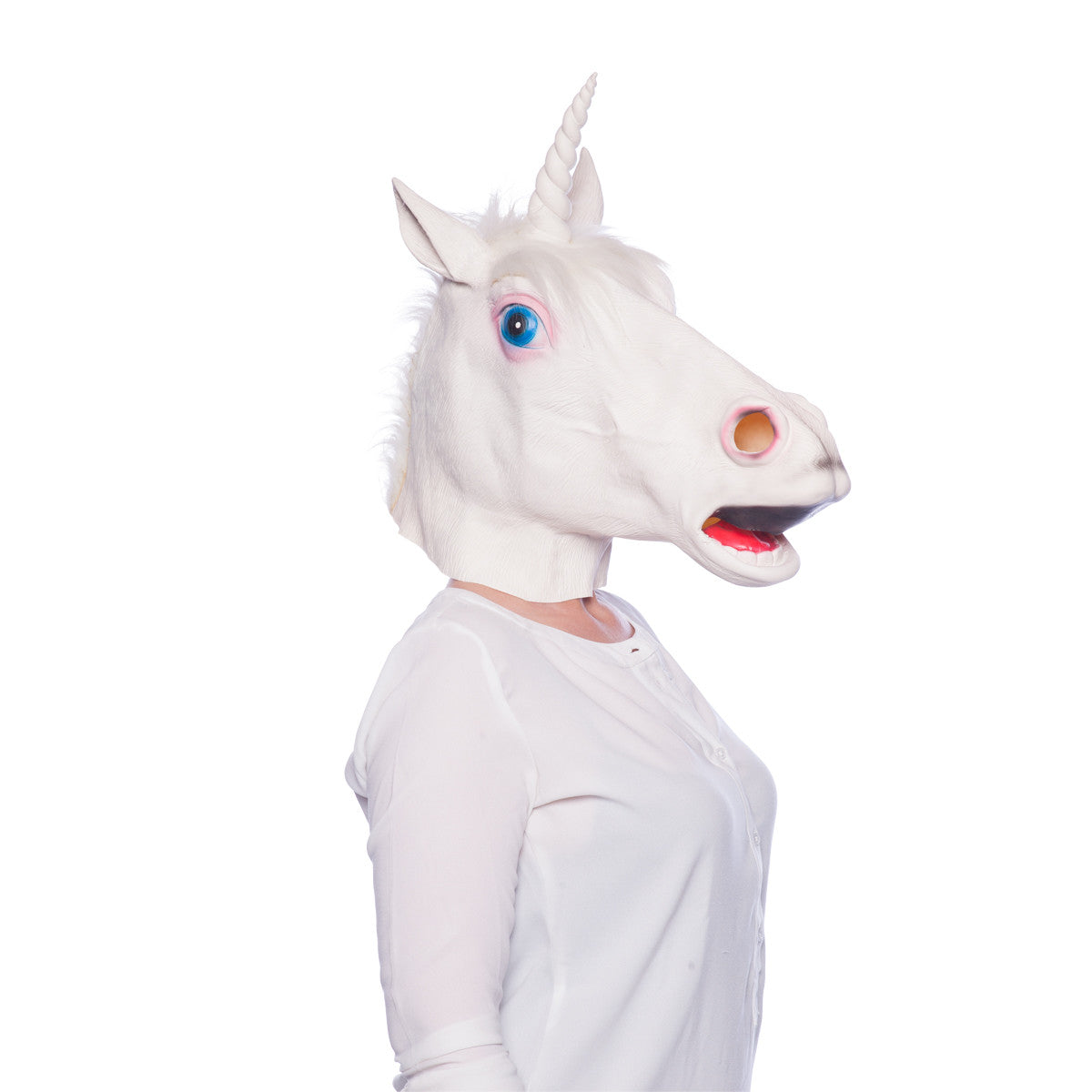 csv_image script 23829_4.jpg