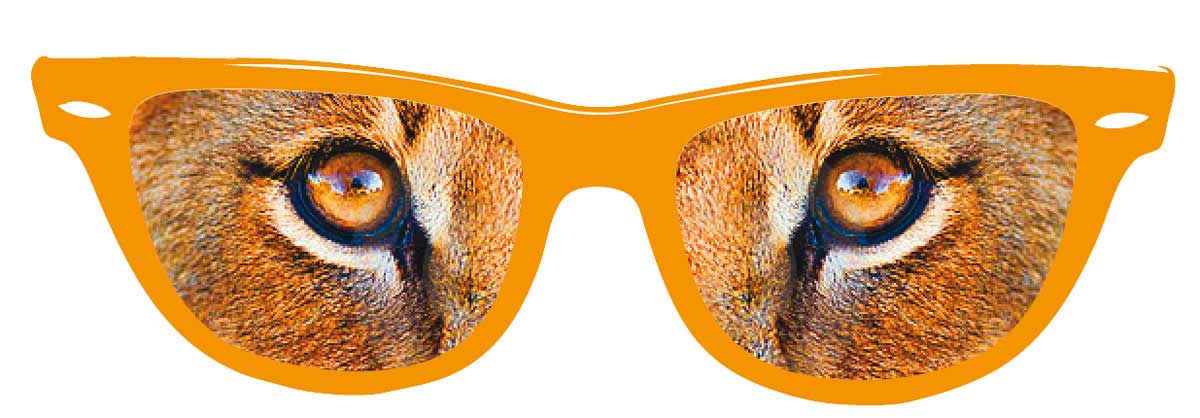 csv_image script 30901_4.jpg