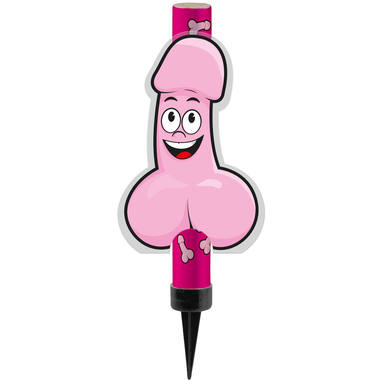 csv_image script 31804_1.jpg