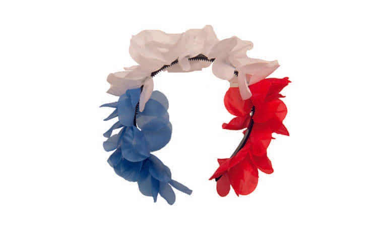 csv_image script 32407_4.jpg