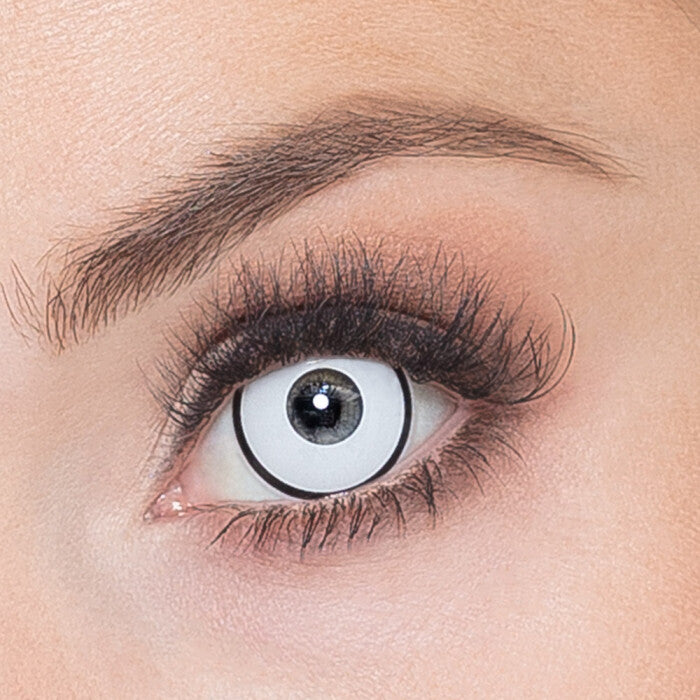 csv_image script 40102_1_1.jpg