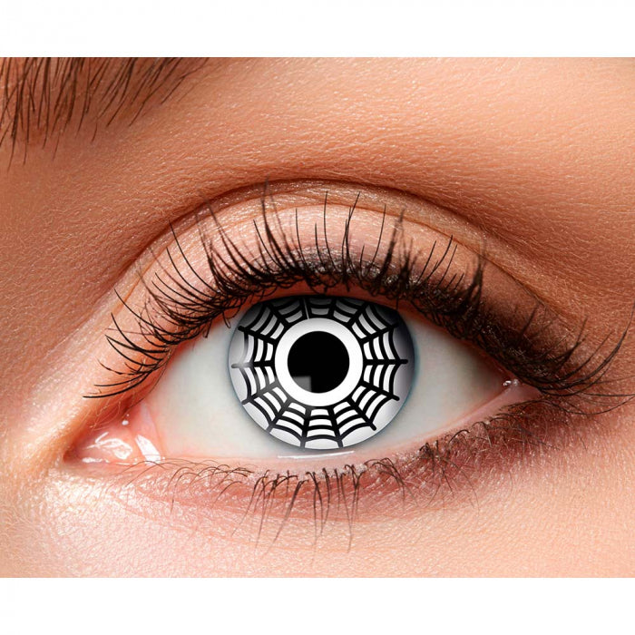 csv_image script 40136c.jpg