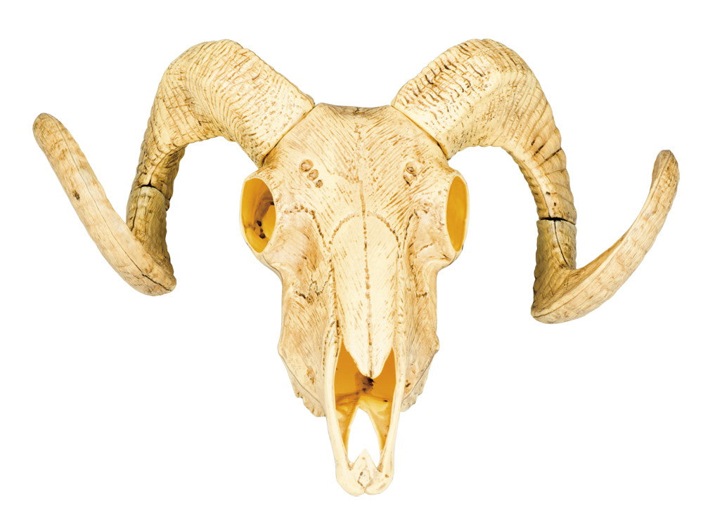 csv_image script 54319b_4.jpg