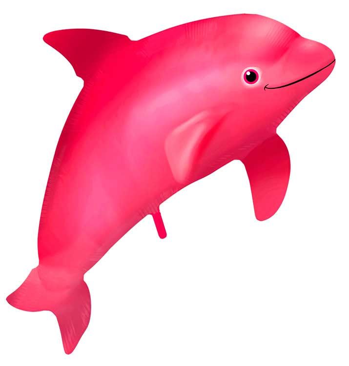 csv_image script 61782_1_4.jpg