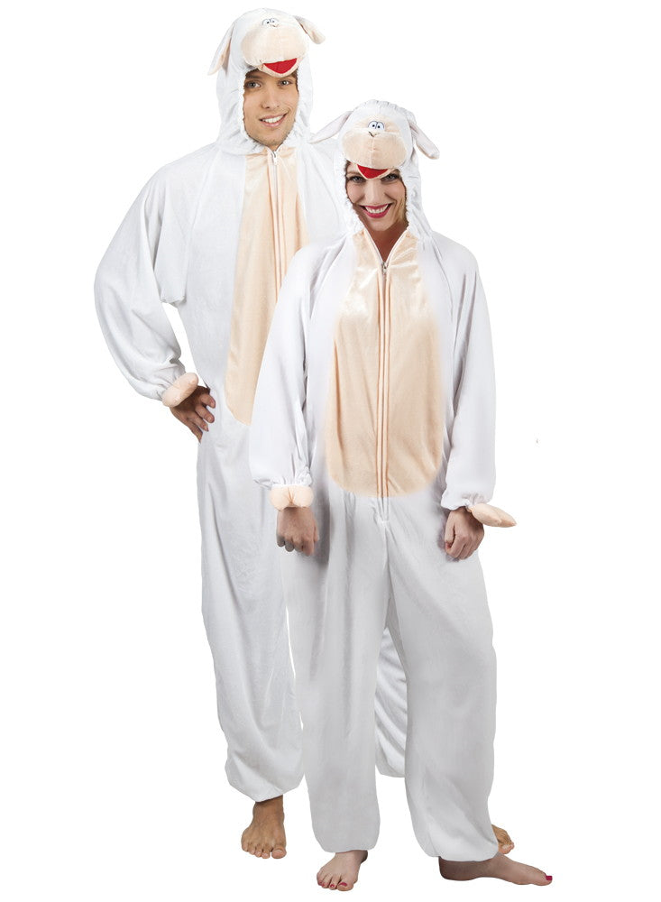 csv_image script 88006b_4.jpg