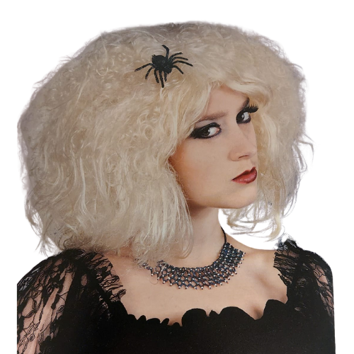 csv_image script ontwerp_zonder_titel_-_2024-01-31t092440.455.png