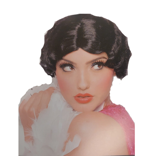 csv_image script ontwerp_zonder_titel_-_2024-01-31t093835.749.png