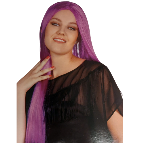 csv_image script ontwerp_zonder_titel_-_2024-02-05t083526.611.png