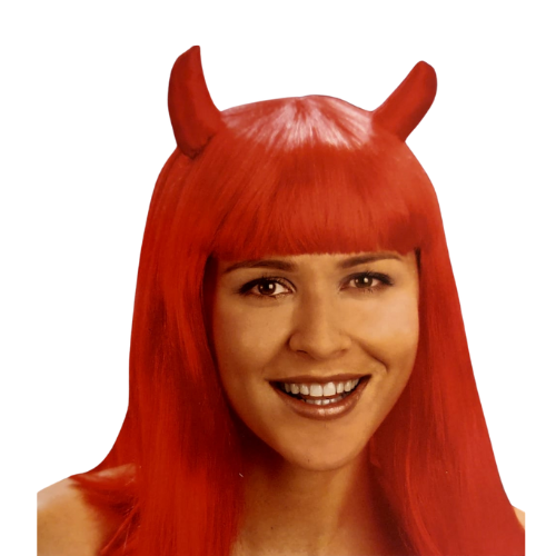 csv_image script ontwerp_zonder_titel_-_2024-02-06t094029.415.png