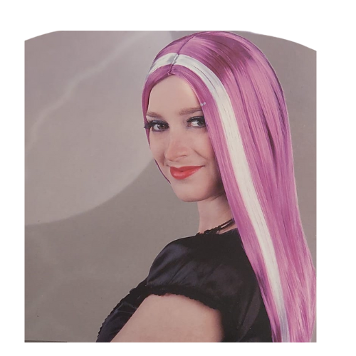 csv_image script ontwerp_zonder_titel_-_2024-02-15t124827.838.png