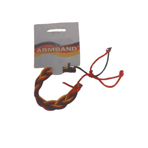 csv_image script ontwerp_zonder_titel_-_2024-02-23t101519.548.png