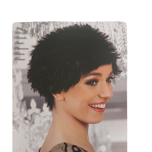 csv_image script ontwerp_zonder_titel_-_2024-02-23t102451.855.png