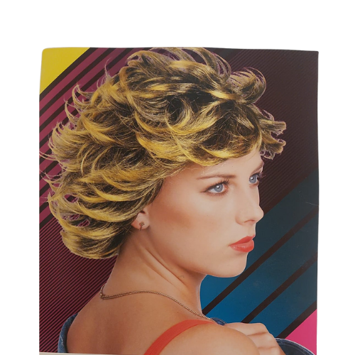 csv_image script ontwerp_zonder_titel_-_2024-02-23t105328.232.png