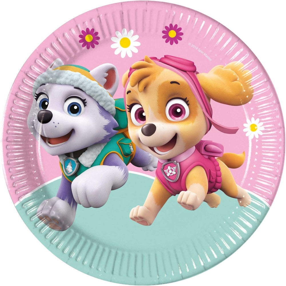 Borden Paw Patrol Skye and Everest 8 Stuks