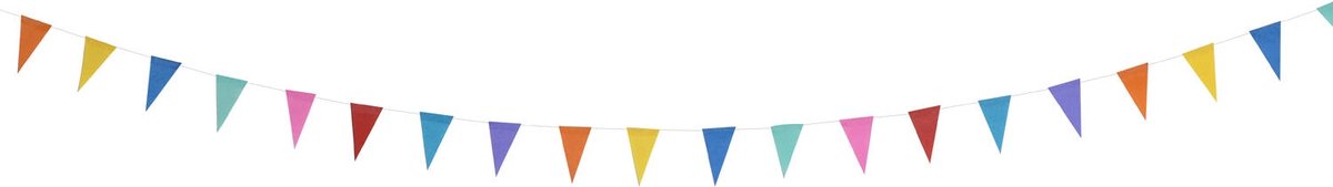 Mini Vlaggenlijn Color Pop Meerkleurig 2m