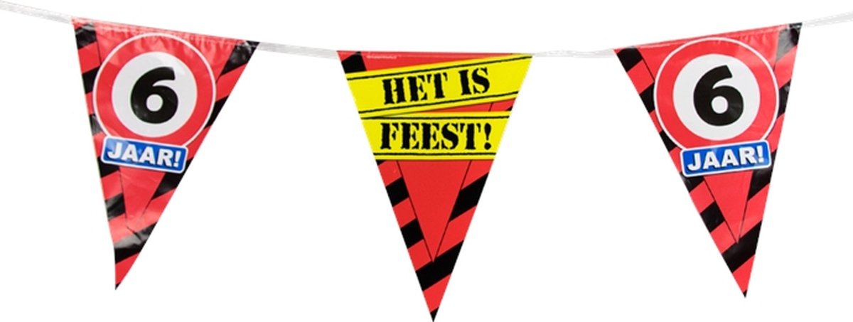 Vlaggenlijn 6 jaar 10m