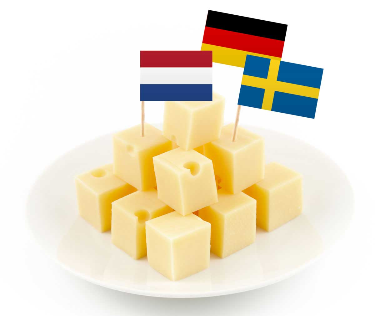 csv_image script 29429_4.jpg