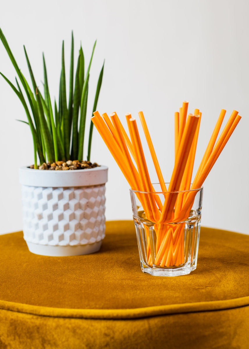 csv_image script 6429-2-scaled.jpg