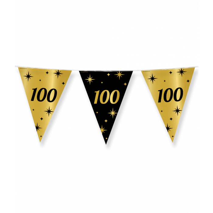 Vlaggenlijn Classy Party 10 m 100 Jaar