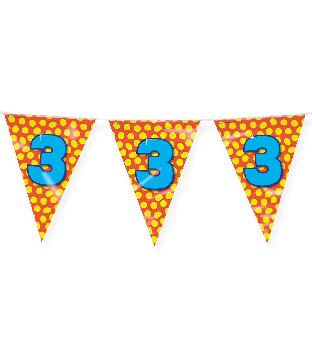 3 Jaar Gekleurde Vlaggenlijn 10m
