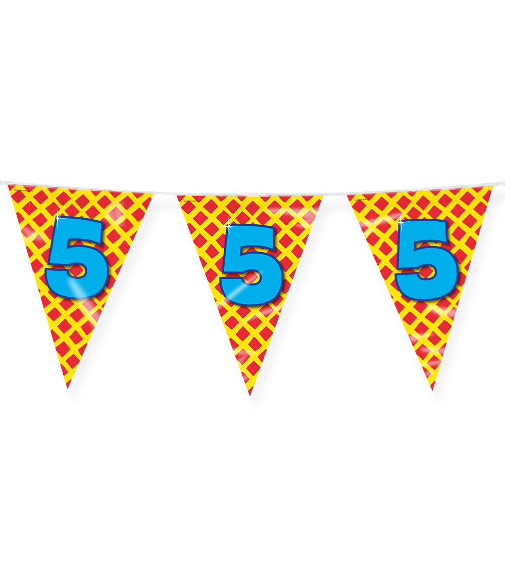 5 Jaar Gekleurde Vlaggenlijn 10m