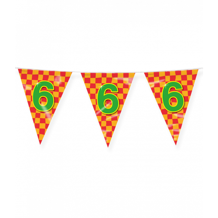 6 Jaar Gekleurde Vlaggenlijn 10m
