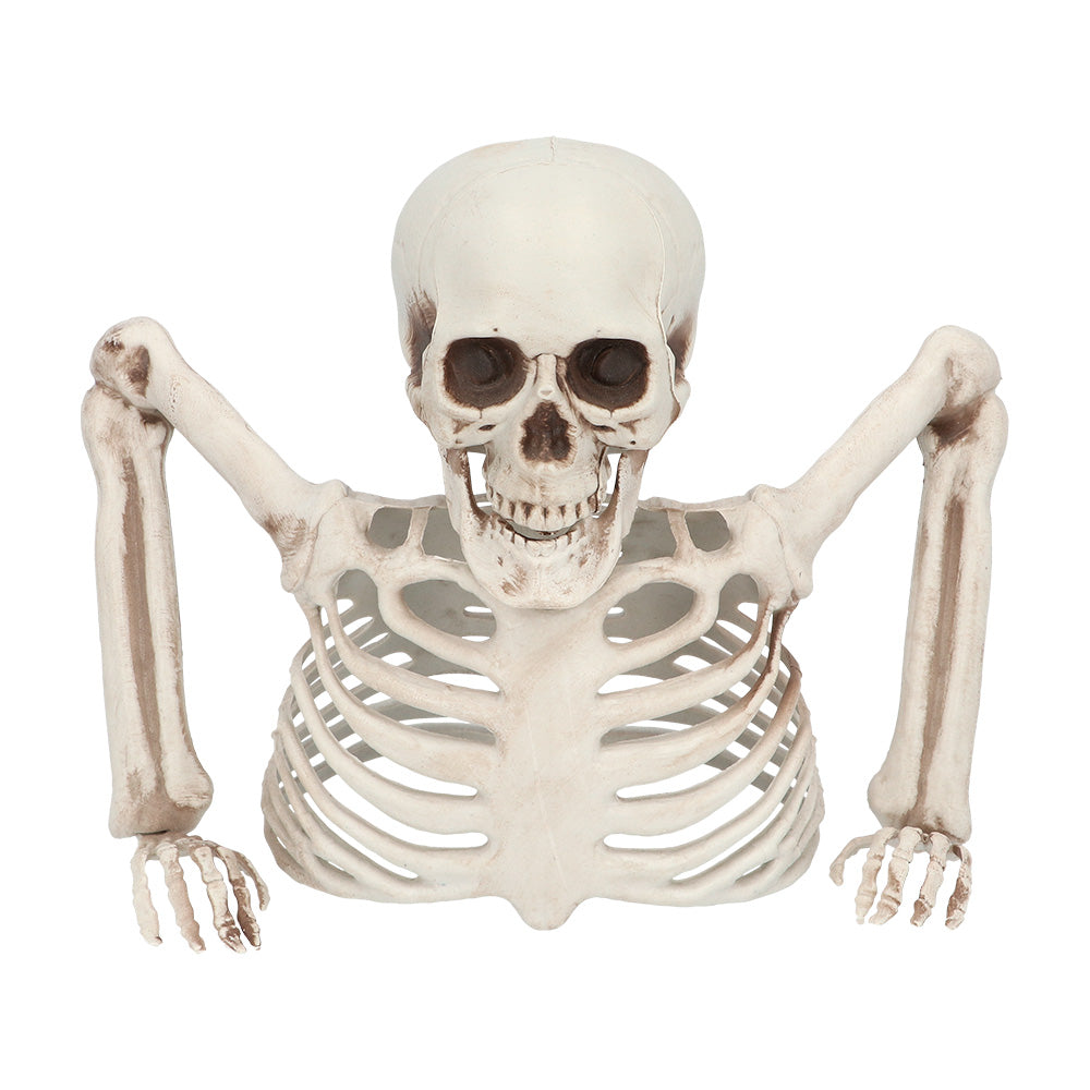 Halloween Skelet Groundbreaker 20 cm – Skelet Decoratie voor Tuin