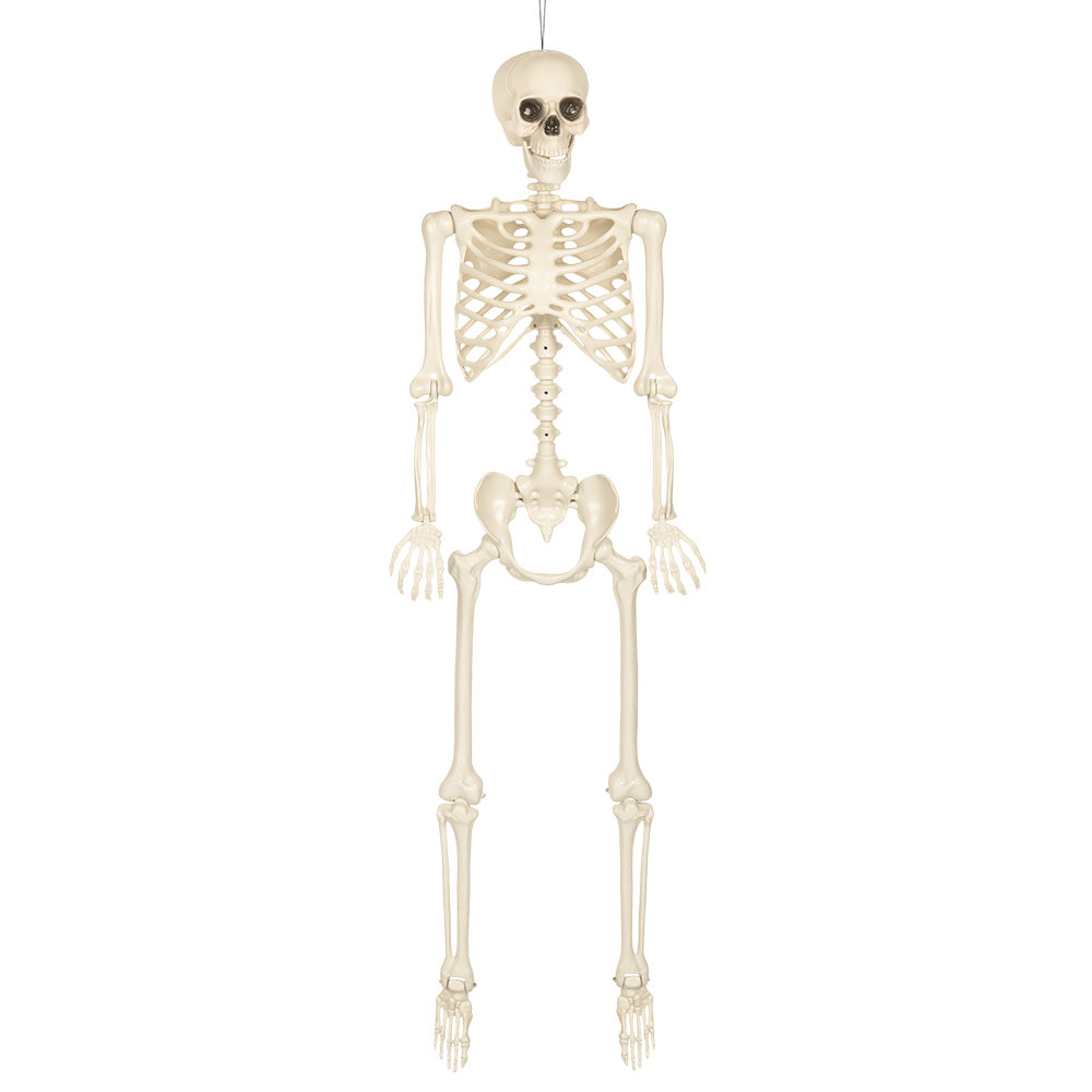 Halloween Skelet Wit XL 160 cm – Hangdecoratie Halloween Levensgroot