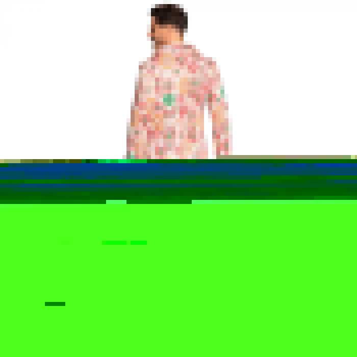 csv_image script 83802bck_1.jpg
