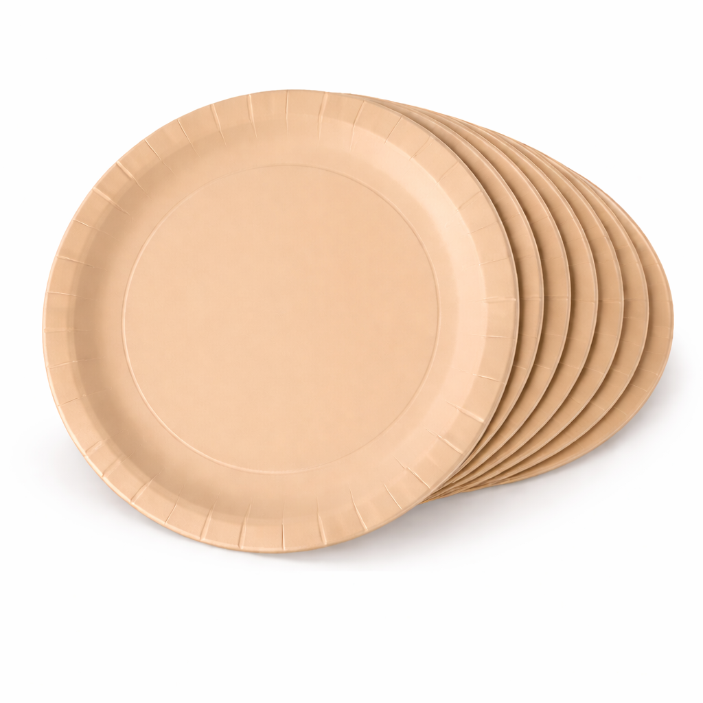 Bordjes Pastel Oranje 23cm 8st
