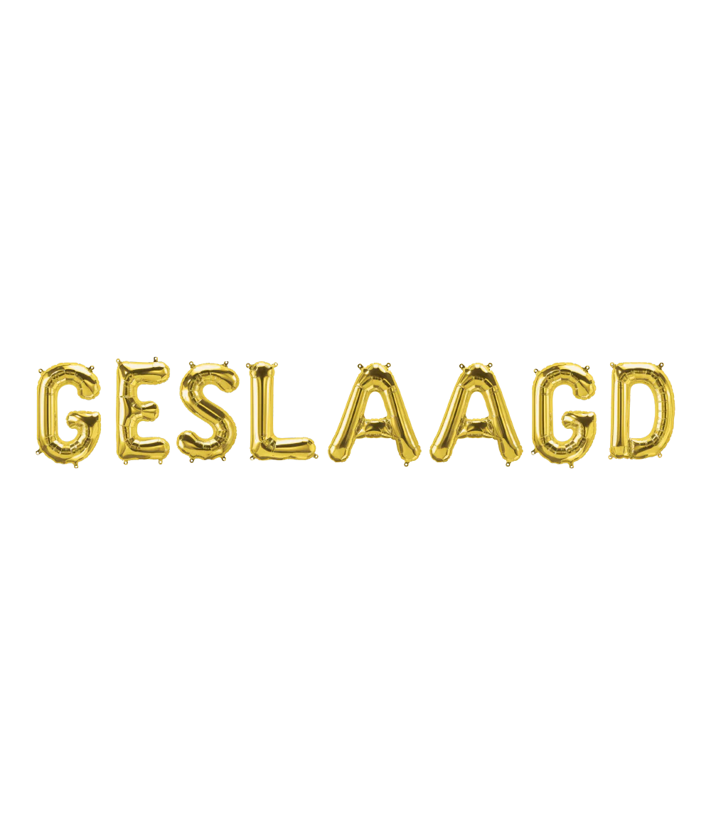 Gouden Ballonnen Set Geslaagd 1,9m