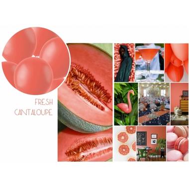 csv_image script fresh-cantaloupe_2_1.jpg