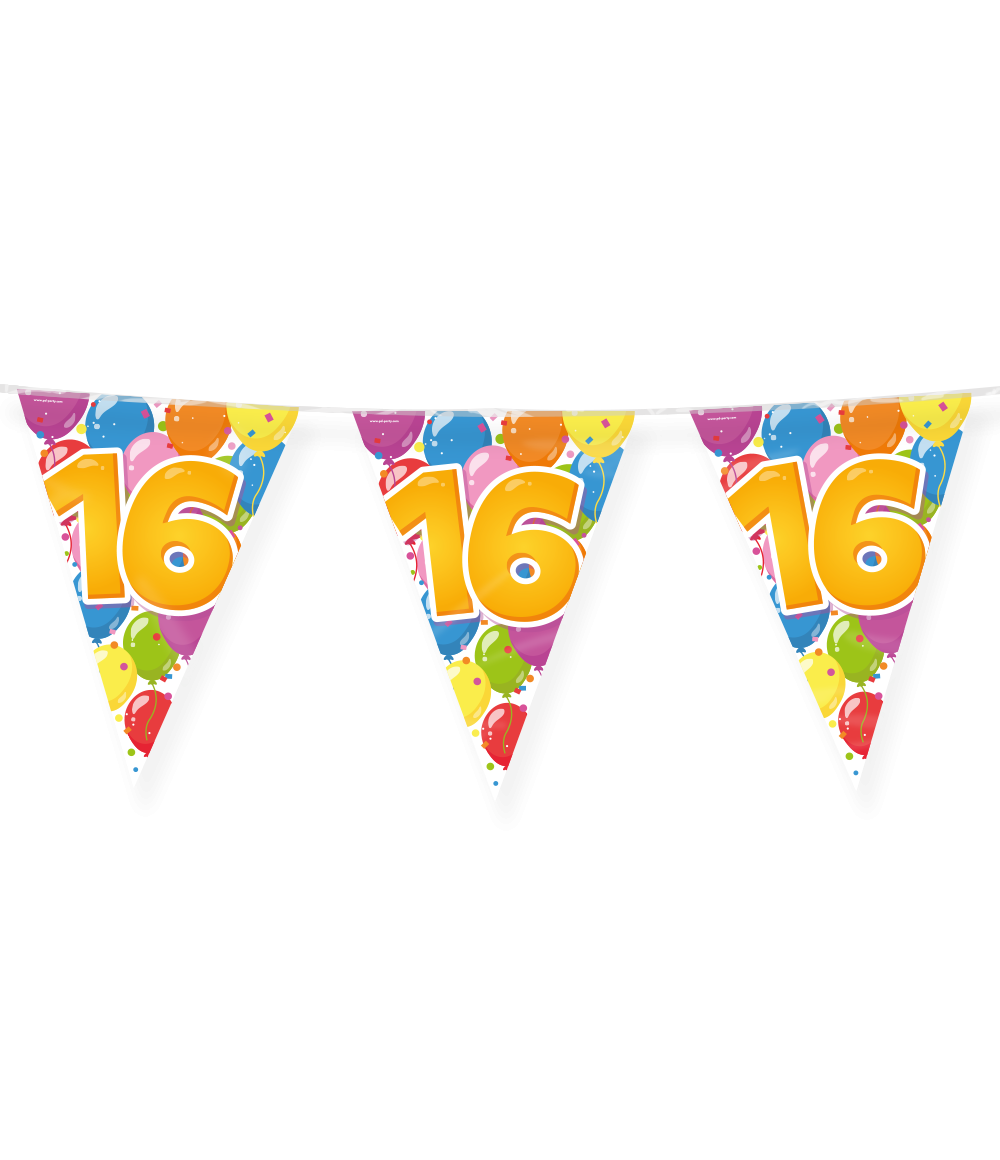 Vlaggenlijn 16 Jaar 10 Meter – Kleurrijke Slinger 16e Verjaardag – Sweet 16 Versiering Jongen & Meisje