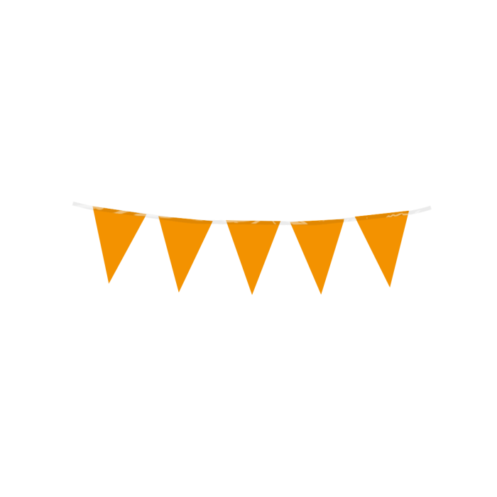 Oranje Mini Vlaggenlijn 3m