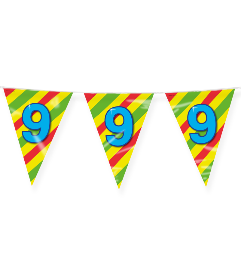 Vlaggenlijn Slinger 9 jaar Party 10 m