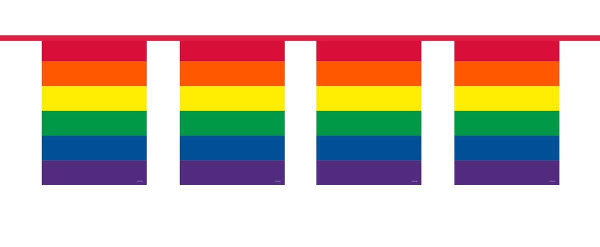 Regenboog Vlaggenlijn Vierkant - 10 meter afbeelding