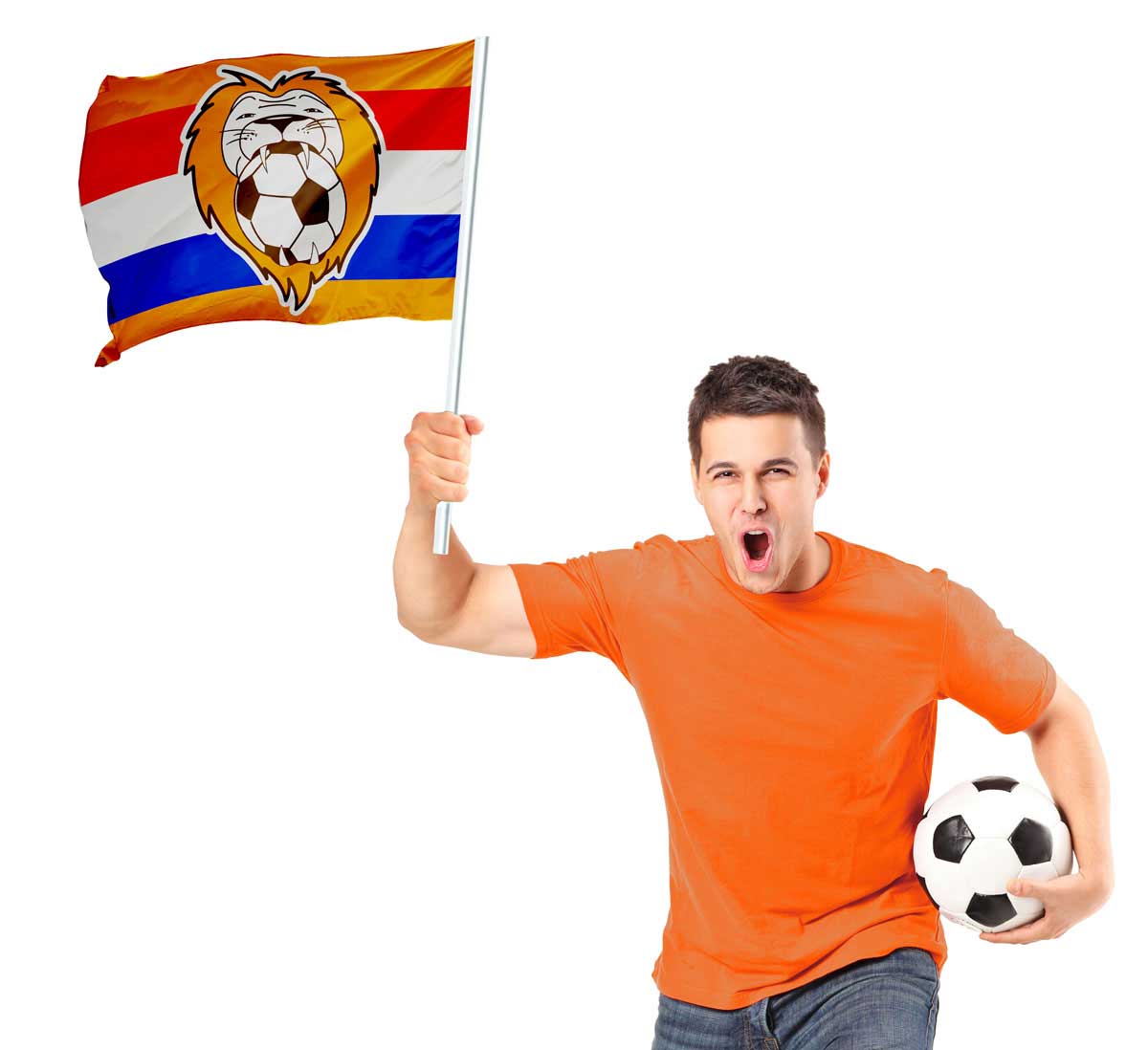 Vlag leeuw Met stok 70x50cm afbeelding