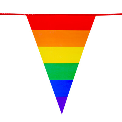 Vlaggenlijn XL Regenboog-8m afbeelding